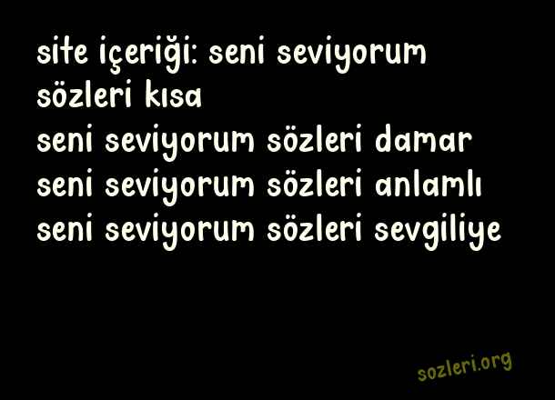Seni Seviyorum